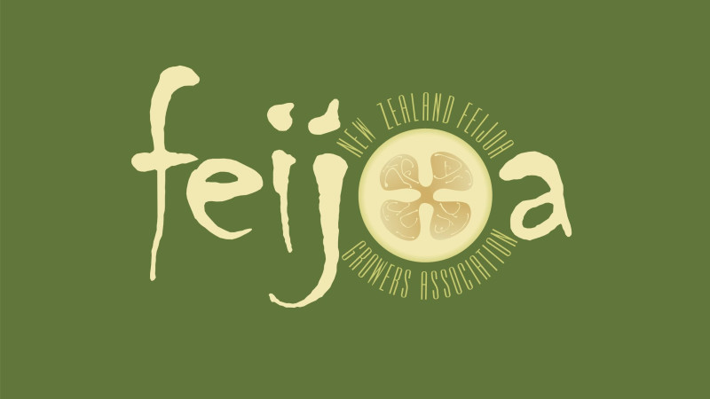 09 Feijoa brand green background